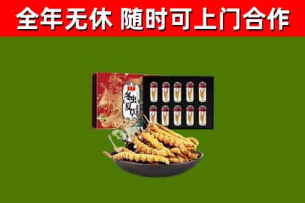 无棣回收冬虫夏草价格